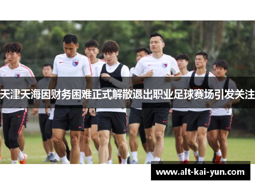 天津天海因财务困难正式解散退出职业足球赛场引发关注 天津天海因财务困难正式解散退出职业足球赛场引发关注